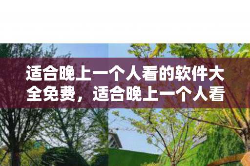适合晚上一个人看的软件大全免费，适合晚上一个人看的软件大全—让你享受独自时光