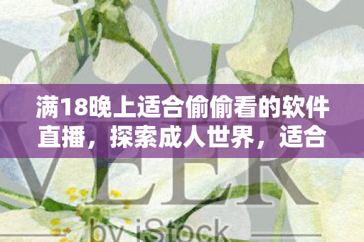 满18晚上适合偷偷看的软件直播，探索成人世界，适合满18岁青年的夜间娱乐软件