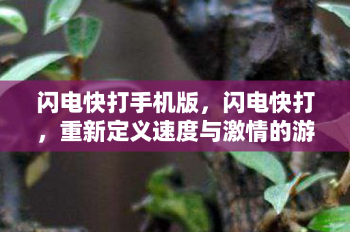 闪电快打手机版，闪电快打，重新定义速度与激情的游戏