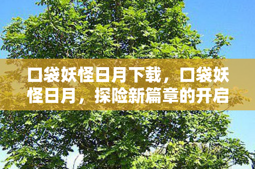 口袋妖怪日月下载，口袋妖怪日月，探险新篇章的开启