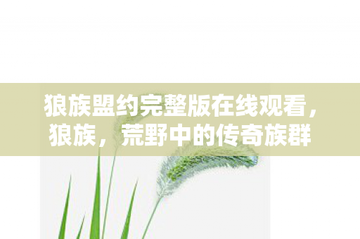 狼族盟约完整版在线观看，狼族，荒野中的传奇族群