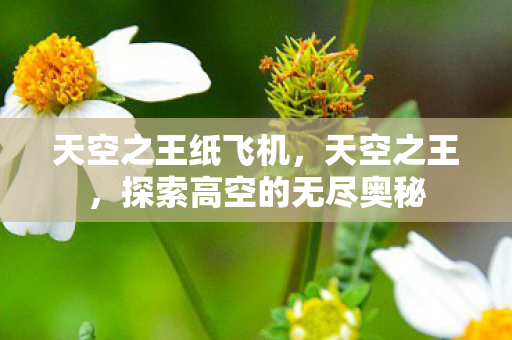 天空之王纸飞机，天空之王，探索高空的无尽奥秘