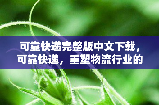 可靠快递完整版中文下载，可靠快递，重塑物流行业的信任基石