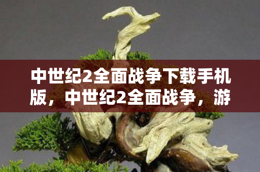 中世纪2全面战争下载手机版，中世纪2全面战争，游戏下载与体验分享