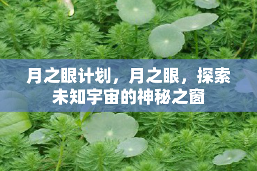 月之眼计划，月之眼，探索未知宇宙的神秘之窗