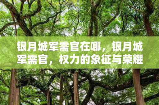 银月城军需官在哪，银月城军需官，权力的象征与荣耀的承载者