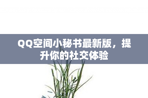QQ空间小秘书最新版，提升你的社交体验