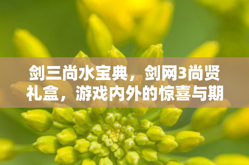剑三尚水宝典，剑网3尚贤礼盒，游戏内外的惊喜与期待