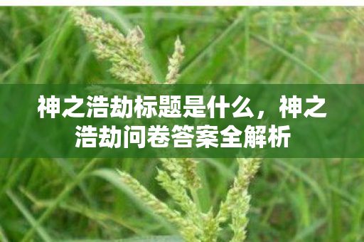 神之浩劫标题是什么，神之浩劫问卷答案全解析