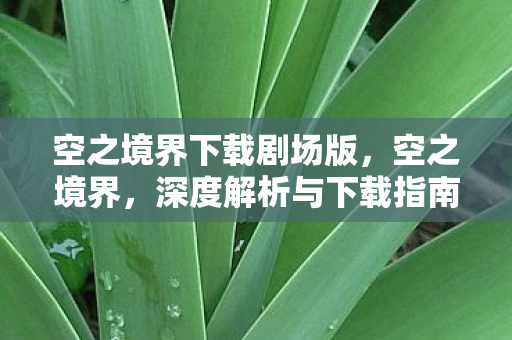 空之境界下载剧场版，空之境界，深度解析与下载指南