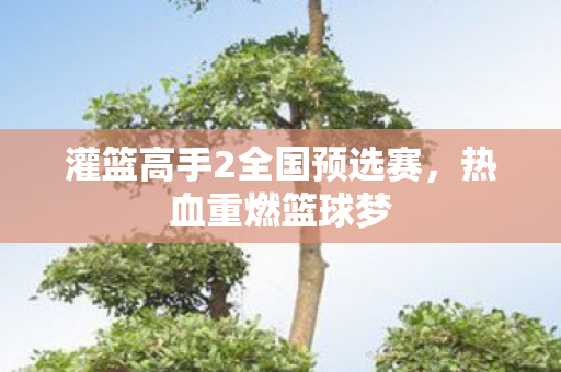 灌篮高手2全国预选赛，热血重燃篮球梦