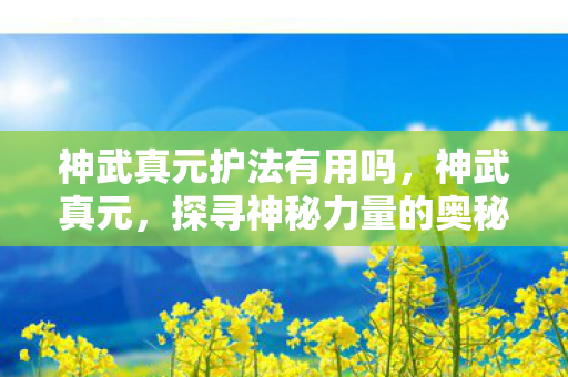 神武真元护法有用吗，神武真元，探寻神秘力量的奥秘