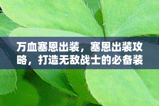 万血塞恩出装，塞恩出装攻略，打造无敌战士的必备装备选择