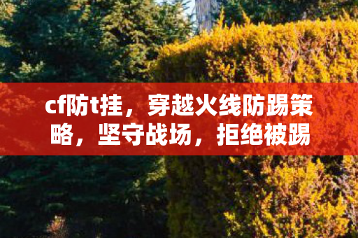 cf防t挂，穿越火线防踢策略，坚守战场，拒绝被踢