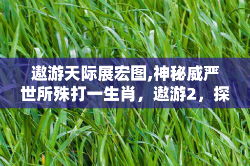遨游天际展宏图,神秘威严世所殊打一生肖，遨游2，探索未知世界的奇妙之旅