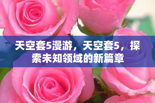 天空套5漫游，天空套5，探索未知领域的新篇章