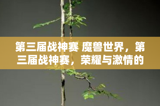 第三届战神赛 魔兽世界，第三届战神赛，荣耀与激情的较量