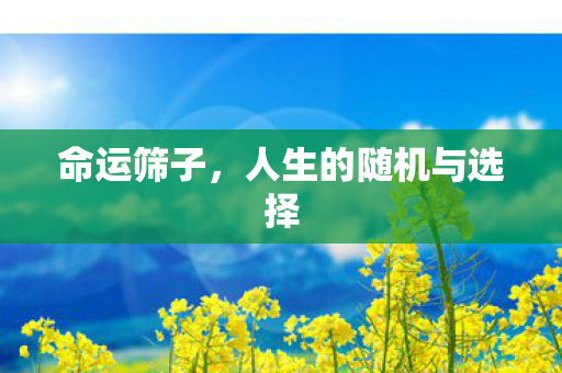 命运筛子，人生的随机与选择
