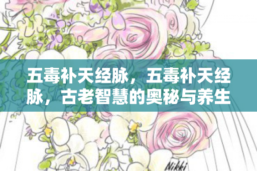 五毒补天经脉，五毒补天经脉，古老智慧的奥秘与养生之道