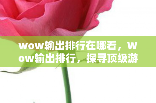 wow输出排行在哪看，Wow输出排行，探寻顶级游戏中的无尽魅力与激情