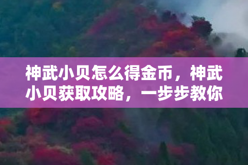 神武小贝怎么得金币，神武小贝获取攻略，一步步教你如何获得神武小贝