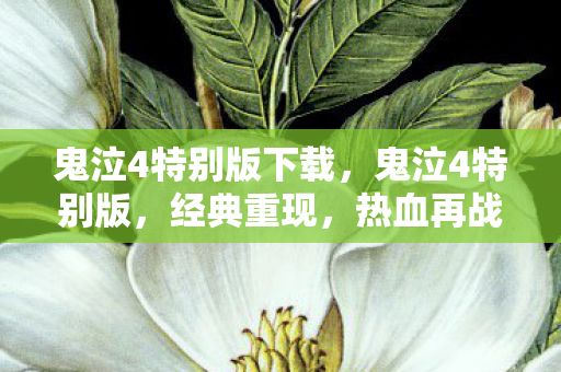 鬼泣4特别版下载，鬼泣4特别版，经典重现，热血再战