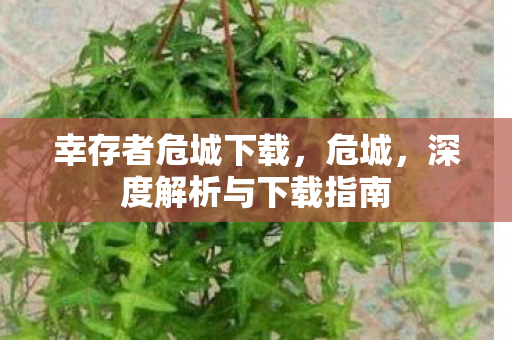 幸存者危城下载，危城，深度解析与下载指南