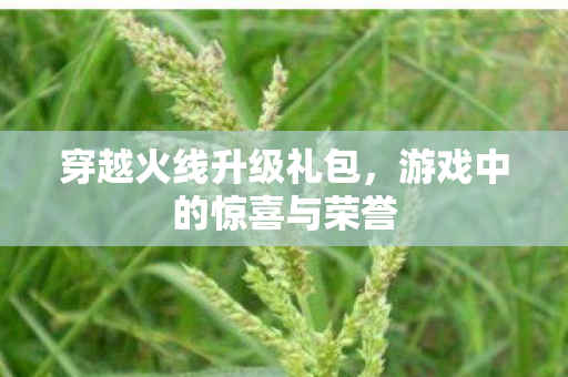 穿越火线升级礼包，游戏中的惊喜与荣誉