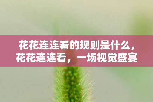 花花连连看的规则是什么，花花连连看，一场视觉盛宴与心灵之旅