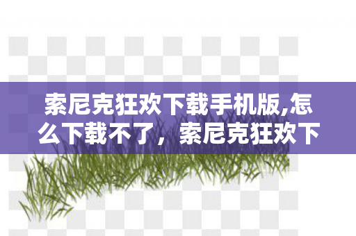 索尼克狂欢下载手机版,怎么下载不了，索尼克狂欢下载手机版—畅玩游戏无界限