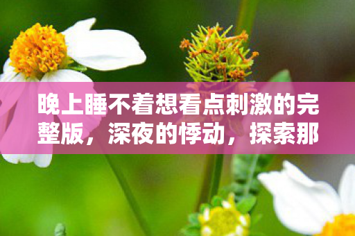 晚上睡不着想看点刺激的完整版，深夜的悸动，探索那些让你欲罢不能的刺激APP