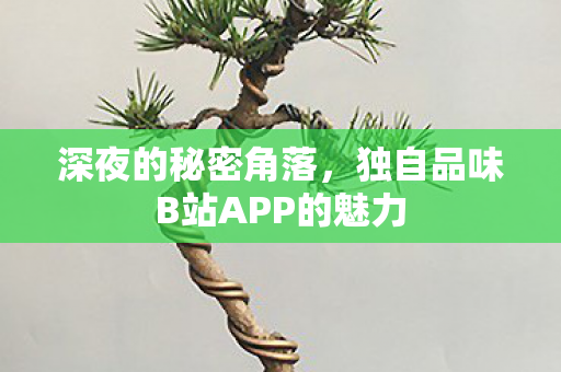深夜的秘密角落，独自品味B站APP的魅力