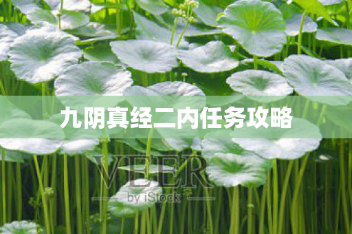 九阴真经二内任务攻略