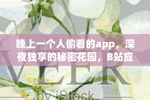 晚上一个人偷看的app，深夜独享的秘密花园，B站应用的夜晚探索