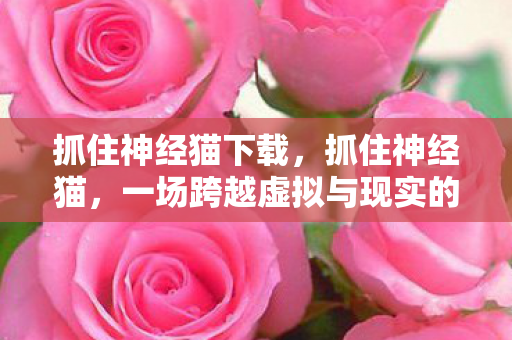 抓住神经猫下载，抓住神经猫，一场跨越虚拟与现实的冒险之旅