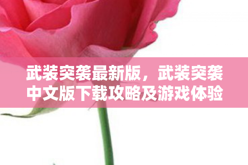 武装突袭最新版，武装突袭中文版下载攻略及游戏体验分享