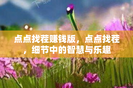 点点找茬赚钱版，点点找茬，细节中的智慧与乐趣