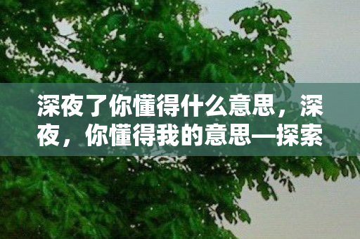 深夜了你懂得什么意思，深夜，你懂得我的意思—探索内心的宇宙与情感的涟漪