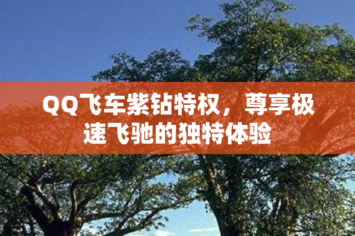 QQ飞车紫钻特权，尊享极速飞驰的独特体验