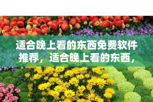 适合晚上看的东西免费软件推荐，适合晚上看的东西，免费软件推荐