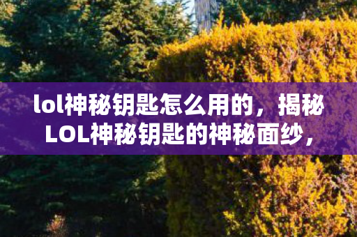 lol神秘钥匙怎么用的，揭秘LOL神秘钥匙的神秘面纱，使用指南与攻略