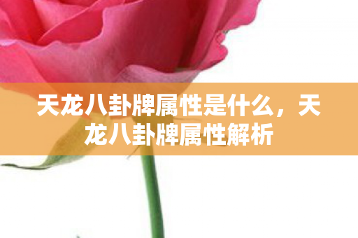 天龙八卦牌属性是什么，天龙八卦牌属性解析