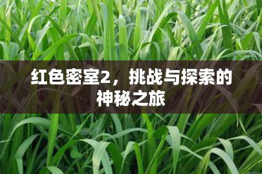 红色密室2，挑战与探索的神秘之旅