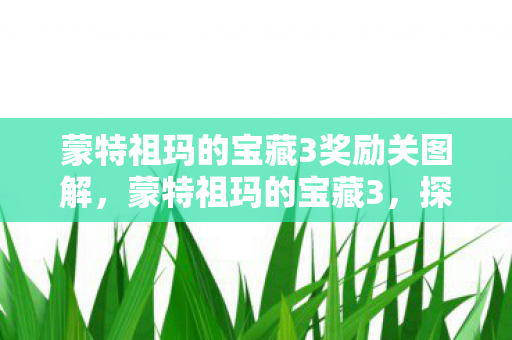 蒙特祖玛的宝藏3奖励关图解，蒙特祖玛的宝藏3，探寻神秘宝藏的冒险之旅