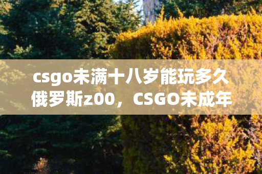 csgo未满十八岁能玩多久俄罗斯z00，CSGO未成年玩家的游戏时间限制