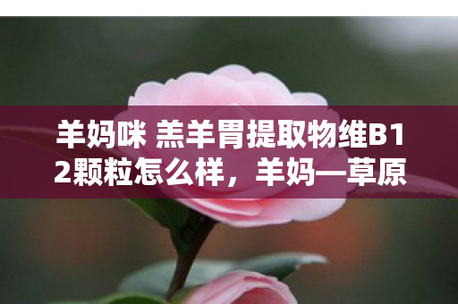 羊妈咪 羔羊胃提取物维B12颗粒怎么样，羊妈—草原上的温暖守护者