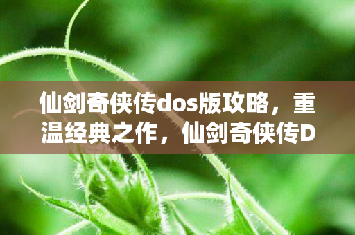 仙剑奇侠传dos版攻略，重温经典之作，仙剑奇侠传DOS版