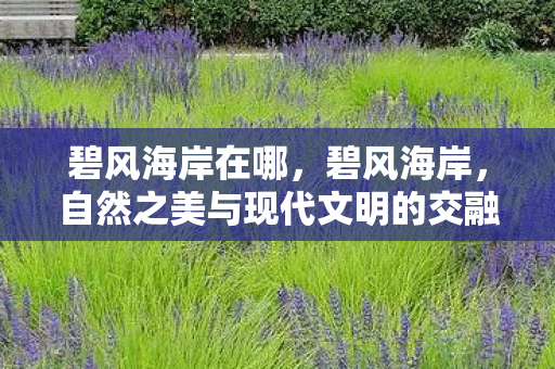 碧风海岸在哪，碧风海岸，自然之美与现代文明的交融之地