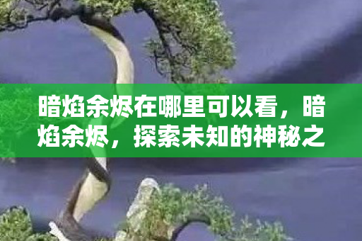 暗焰余烬在哪里可以看，暗焰余烬，探索未知的神秘之地