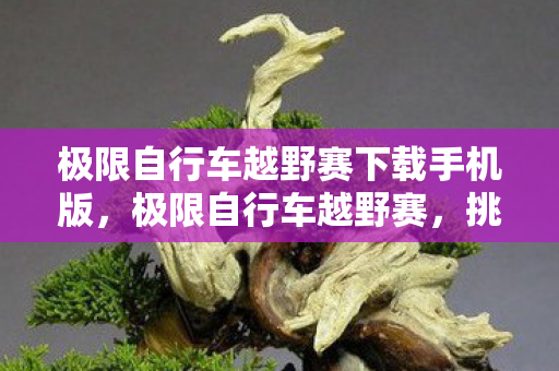 极限自行车越野赛下载手机版，极限自行车越野赛，挑战自然，展现无畏精神